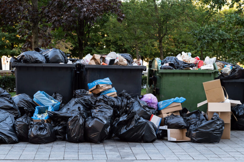 Dumpster Overflow Dumpster Overflow